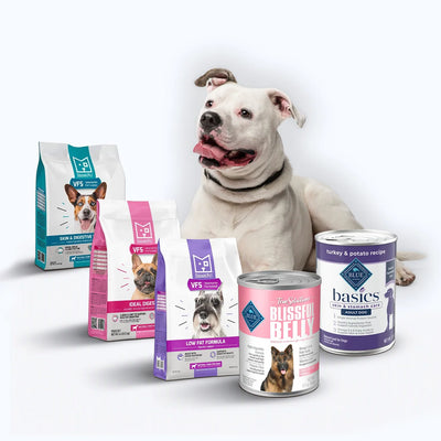 Sensitive Stomach Dog Food
