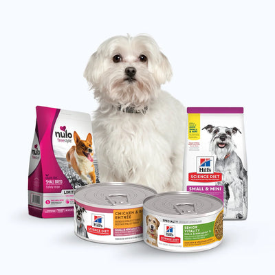 Small Breed Dog Food