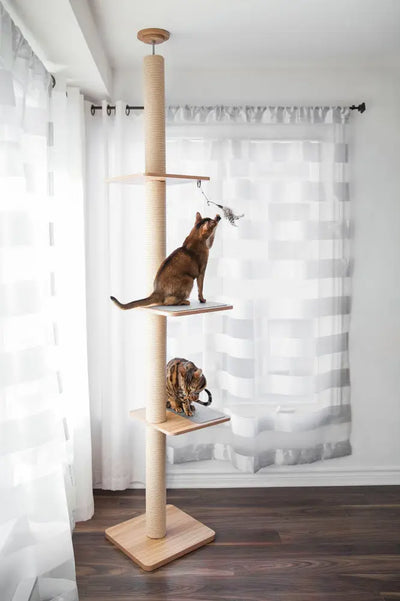 Cat Beds Trees Condos & Furniture