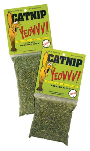 Catnip & Cat Grass