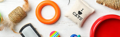 Catnip Toys