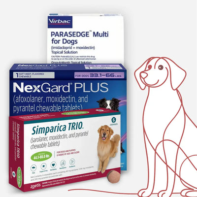 Dog Flea & Tick Medications