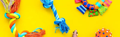 Dog Toys
