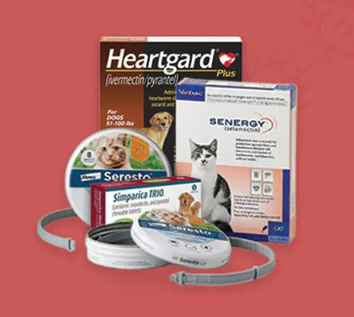 Flea & Tick Treatments