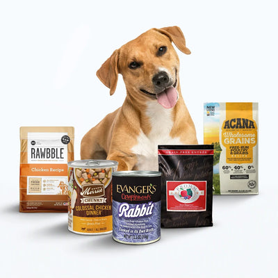 Grain-Free Dog Food