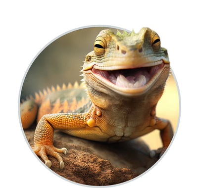 Shop Reptile at HardyPaw