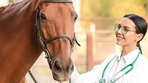 All Horse Medication in One Place