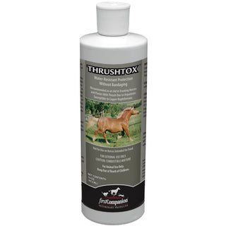 First Companion Thrushtox Thrush Remedy For Horses (16 oz)