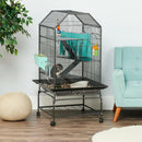 Oxbow Enriched Life Multi-Level Habitat For Small Animal