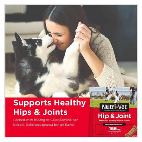 Nutri-Vet Hip & Joint Regular Strength Biscuits for Dogs (19.5 oz)