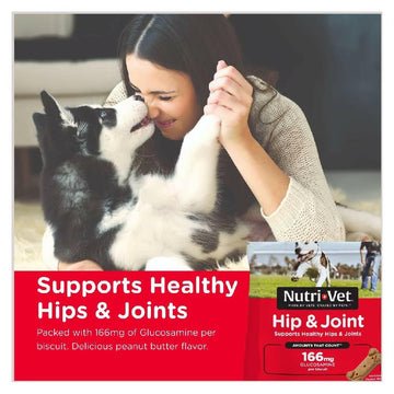 Nutri-Vet Hip & Joint Regular Strength Biscuits for Dogs (19.5 oz)
