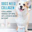 The Missing Link Collagen Care Skin & Coat Soft Chews For Dogs (60 count)