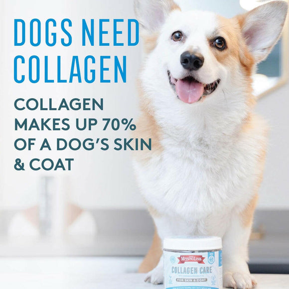 The Missing Link Collagen Care Skin & Coat Soft Chews For Dogs (60 count)
