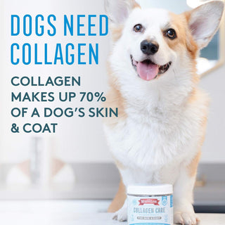 The Missing Link Collagen Care Skin & Coat Soft Chews For Dogs (60 count)