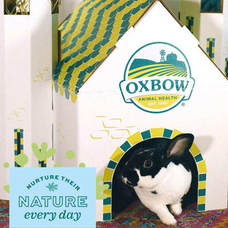 Oxbow Enriched Life Hideaway Dream Castle For Small Animal