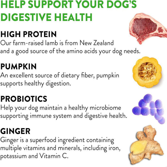 Dogswell Gut Health Mini Jerky Lamb Functional Soft & Chewy Treats For Dogs (4 oz)