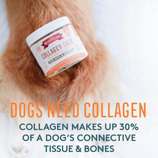 The Missing Link Collagen Care Hips & Joints Soft Chews For Dogs (60 count)