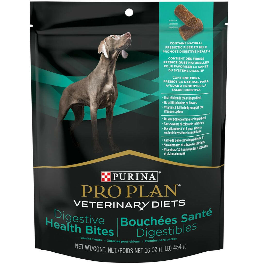 Dog digestive health treats