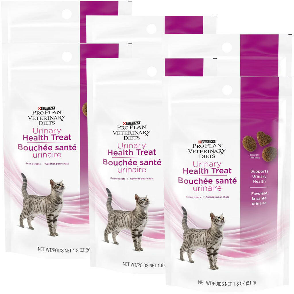 Feline nutrition support