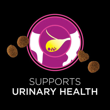 Urinary tract support for cats