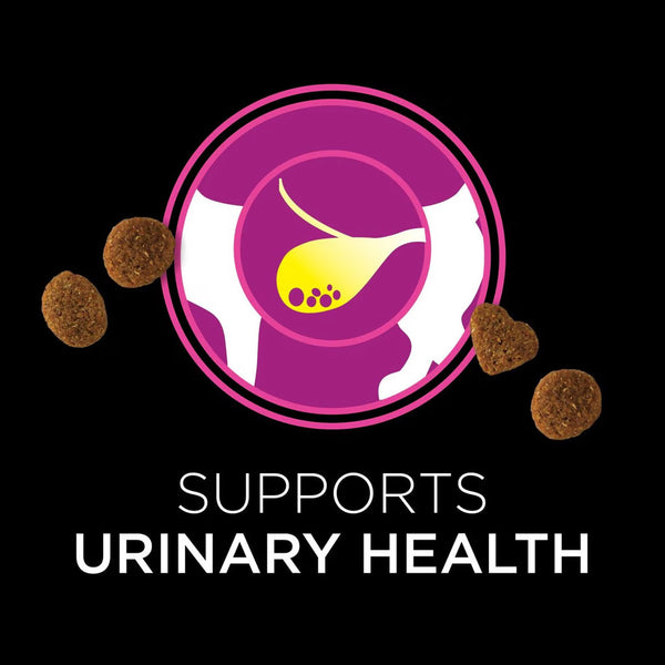 Urinary tract support for cats