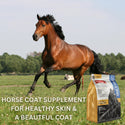 The Missing Link Well Blend Skin & Coat Supplement For Horses (10.6 lb)
