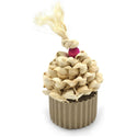 Oxbow Enriched Life Celebration Cupcake Treat for Small Animals
