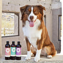 kin+kind Itchy Organics Sweet Blossom Natural Shampoo For Dog  (12 oz)kin+kind Itchy Organics Sweet Blossom Natural Shampoo For Dog  (12 oz)