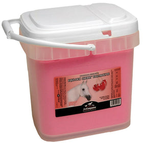 First Companion Equi-Dex Cherry Electrolytes For Horse (30 lb) 