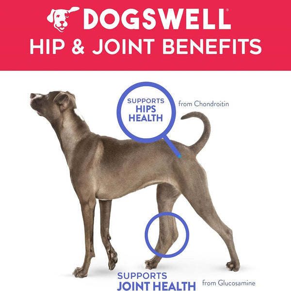 Dogswell Hip & Joint Beef Flavor Slices Treats For Dogs