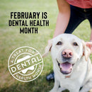 Cloud Star Wag More Bark Less Chicken, Charcoal, Parsley & Mint Dental Biscuits For Dogs(14 oz)