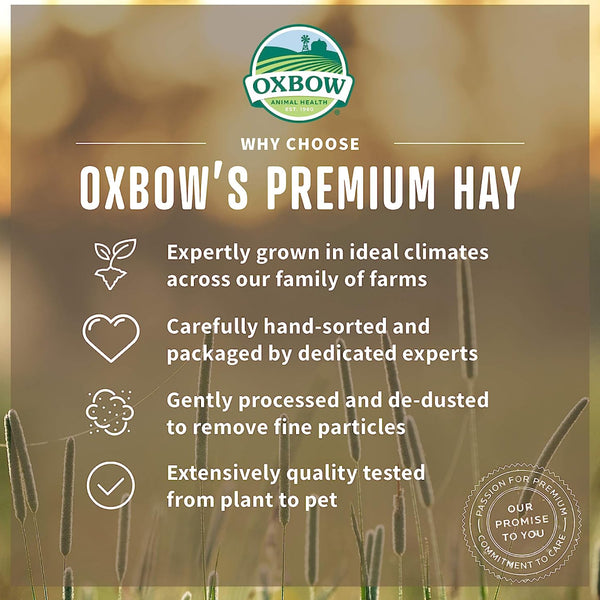 Oxbow Animal Health Alfalfa Hay Food For Small Animal (9 lb)