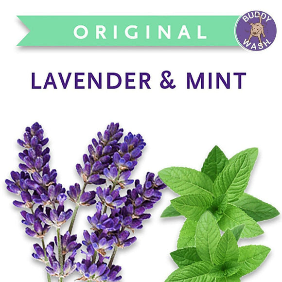 Buddy Wash Original Lavender & Mint Dog 2-in-1 Shampoo + Conditioner (1 gal)