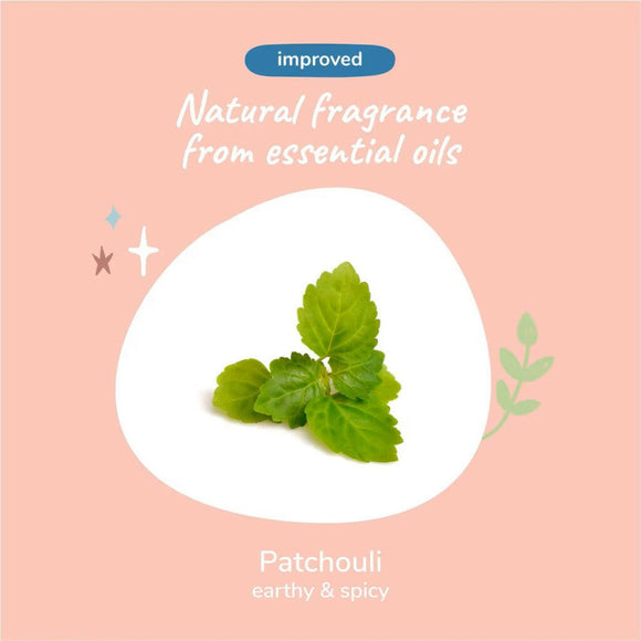 kin+kind Charcoal Deep Clean Natural Patchouli Shampoo For Dogs (12 oz)