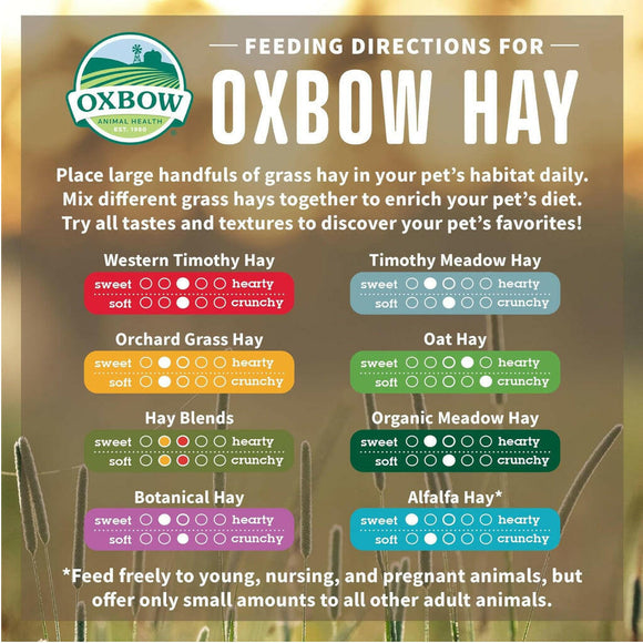 Oxbow Animal Health Alfalfa Hay Food For Pets (15 oz)