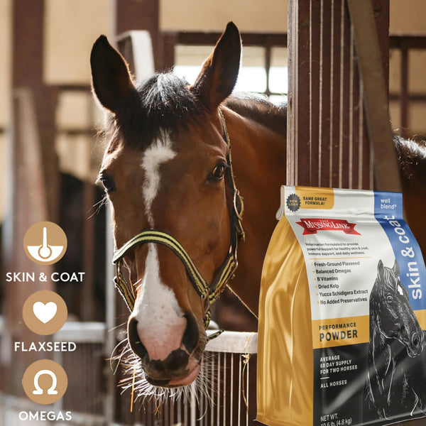 The Missing Link Well Blend Skin & Coat Supplement For Horses (10.6 lb)