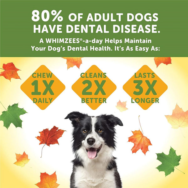 Whimzees by Wellness Fall Value Bag Medium Dental Dog Chews (6.3 oz)