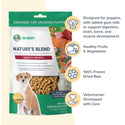 Dr. Marty Nature's Healthy Growth Freeze Dried Raw Food for Puppies (6 oz)