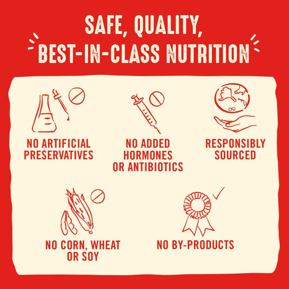 Stella & Chewy's Duck Duck Goose Dinner Patties Freeze-Dried Raw Food For Dogs (25 oz)