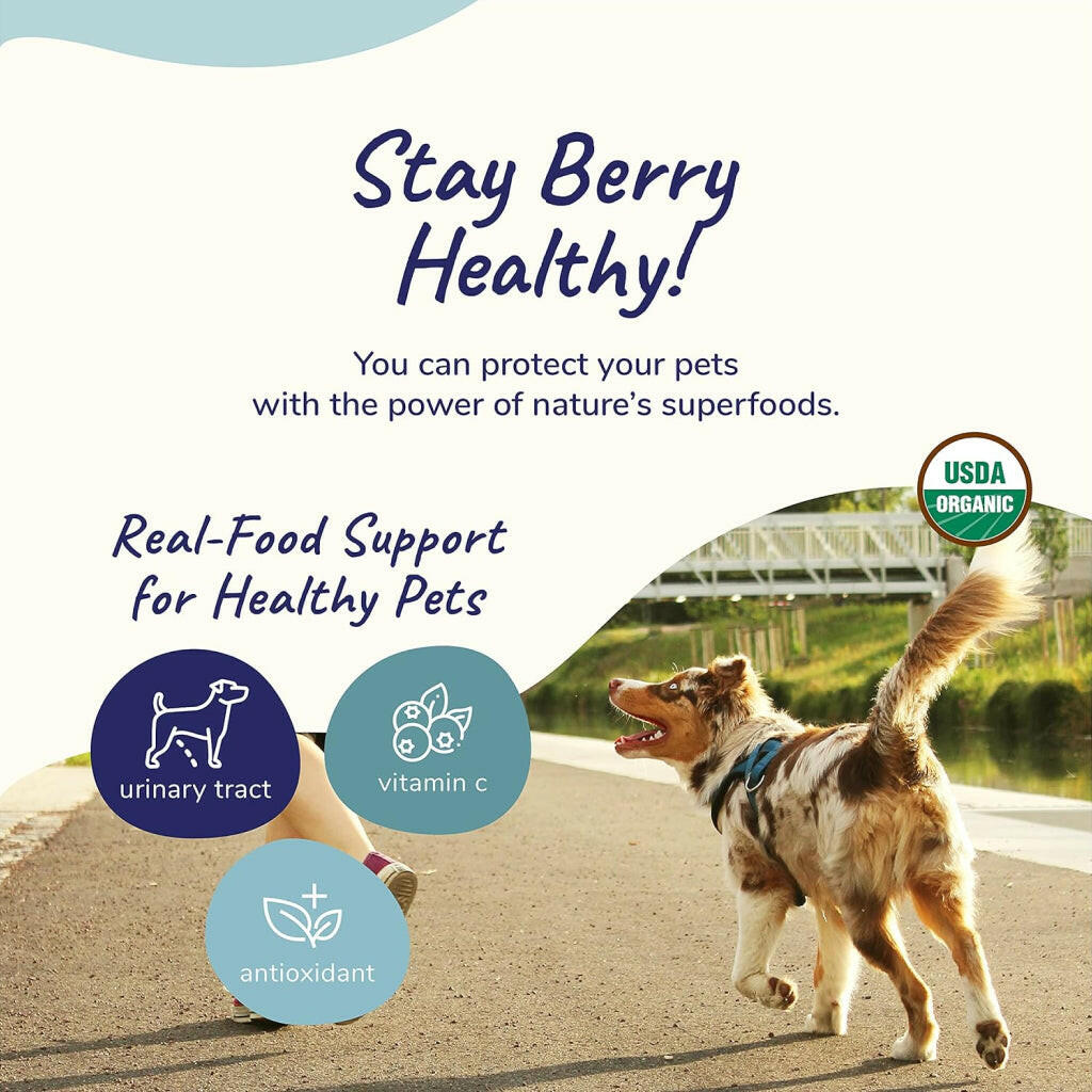 kin+kind Organic Berry Boost Urinary Tract Health Supplement For Dogs & Cats (4 oz)