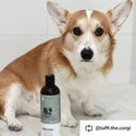 kin+kind Argan Repair Dry Skin Shampoo For Dog (12 oz)