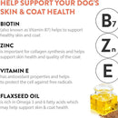 Dogswell Jerky Skin & Coat Salmon Grain-Free Treats For Dogs (10 oz)