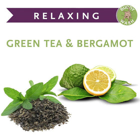 Buddy Wash Relaxing Green Tea & Bergamot 2-in-1 Shampoo + Conditioner For Dogs (16 oz)