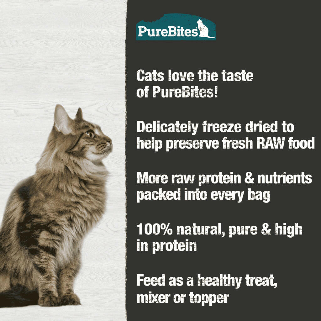 Pure Bites Freeze Dried Minnow Treats For Cat (1.09)