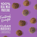 Dogswell Skin & Coat Duck Recipe Meatballs Treats For Dogs (14 oz)