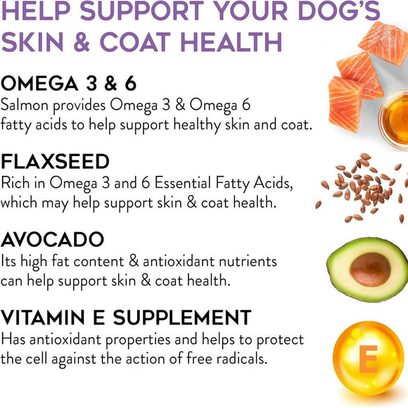 Dogswell Skin & Coat Soft & Chewy Salmon Flavored Treats For Dogs (14 oz)