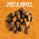 Cloud Star Wag More Bark Less Chicken Dog Treats (5 oz) Pouch