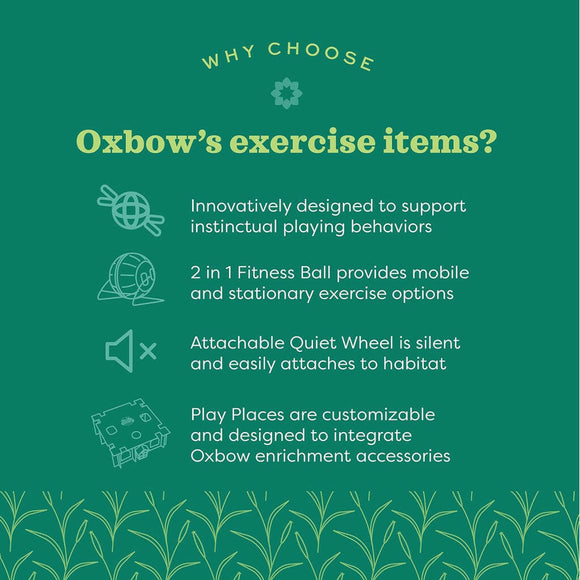 Oxbow Enriched Life Run Around Ball Toy For Small Animal