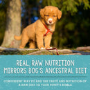 Stella & Chewy's Perfectly Puppy Beef & Salmon Meal Mixers Freeze-Dried Raw Topper For Dog (3.5 oz)