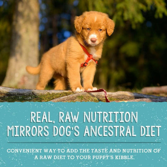 Stella & Chewy's Perfectly Puppy Beef & Salmon Meal Mixers Freeze-Dried Raw Topper For Dog (3.5 oz)